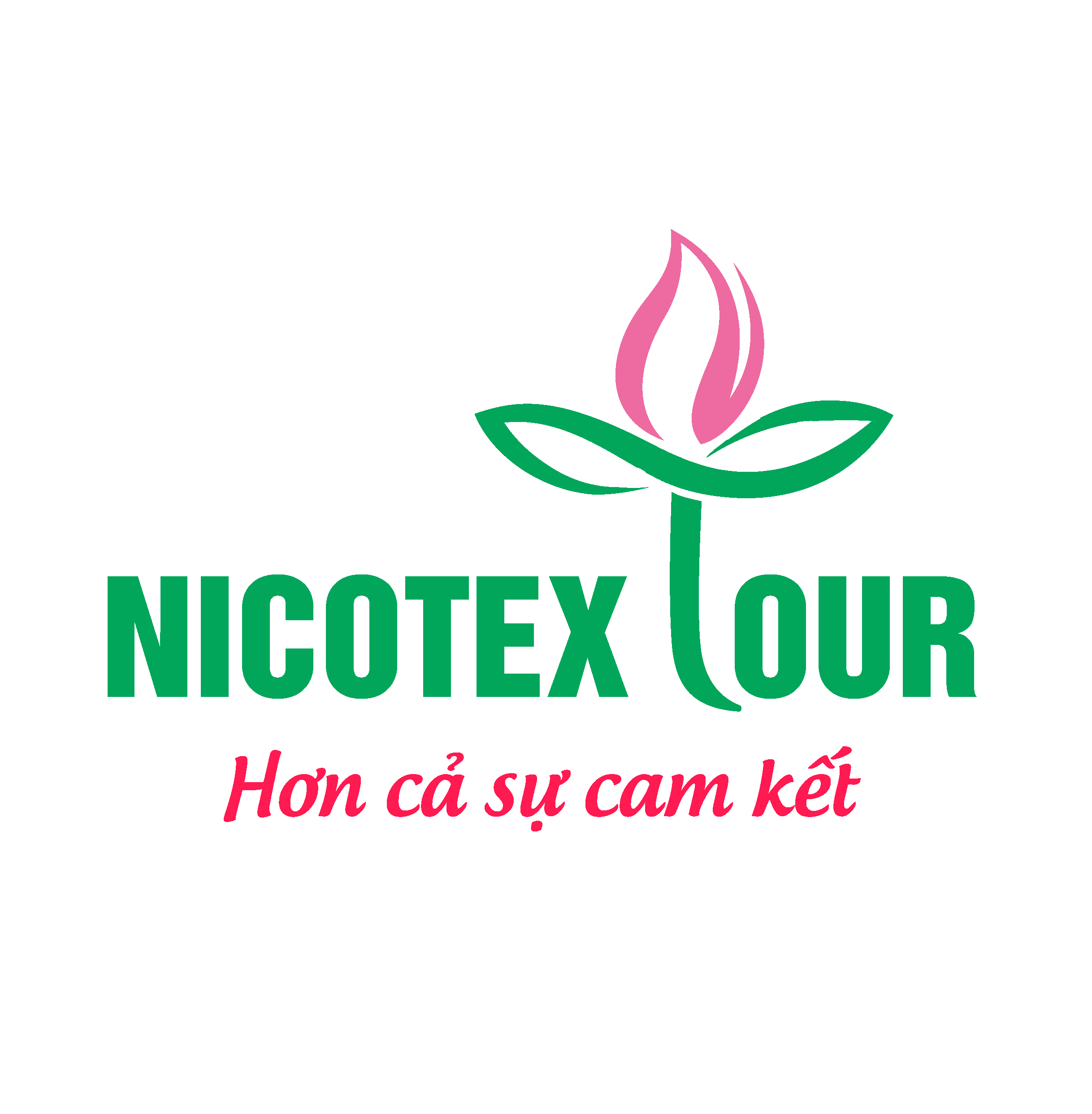 Nicotextour